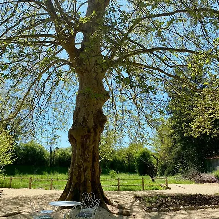 Vendégház Maison As Cambous 3*