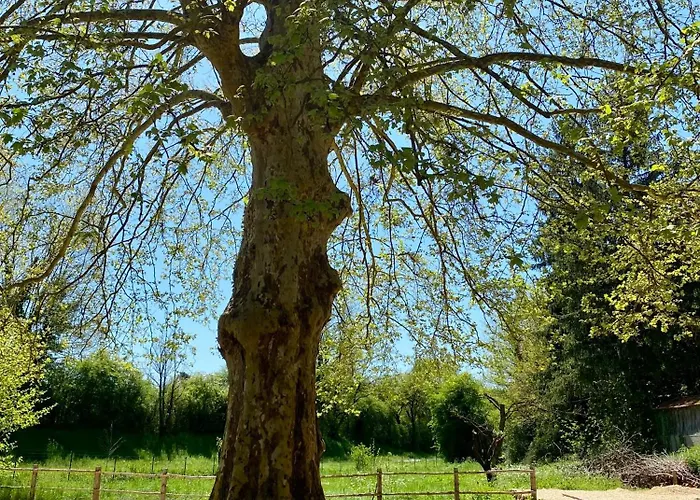 بيت ضيافة Maison As Cambous